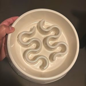 Slow feeder for dogs